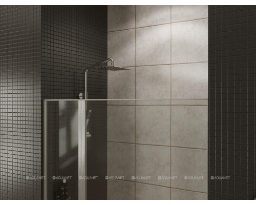 Душевая дверь Allen Brau Priority 90 3.31025.00 хром