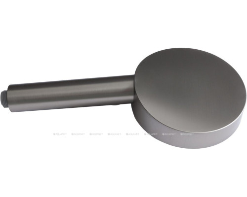 Душевая лейка Allen Brau Priority 5.31B20-BN никель браш