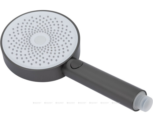 Душевая лейка Allen Brau Priority 5.31B20-MG графит браш