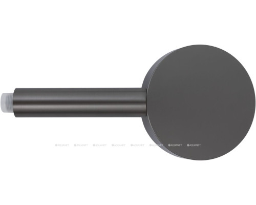 Душевая лейка Allen Brau Priority 5.31B20-MG графит браш