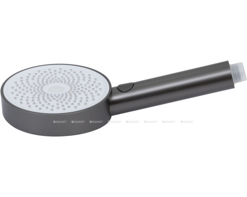 Душевая лейка Allen Brau Priority 5.31B20-MG графит браш