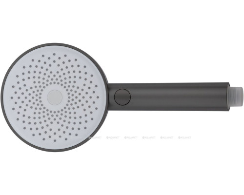 Душевая лейка Allen Brau Priority 5.31B20-MG графит браш