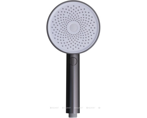 Душевая лейка Allen Brau Priority 5.31B20-MG графит браш