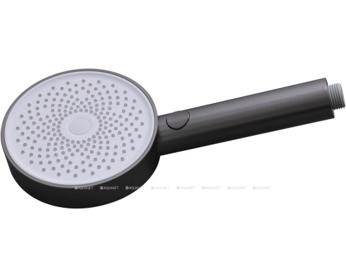 Душевая лейка Allen Brau Priority 5.31B20-MG графит браш