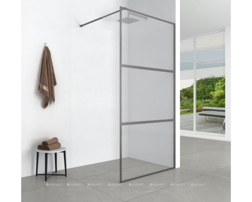 Душевая перегородка Aquanet 90x200 SW-900GRT профиль графит, прозрачное стекло