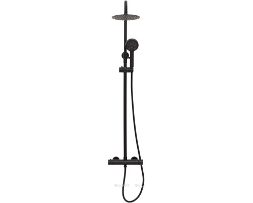 Душевая стойка Allen Brau Eclipse 3.0 5.E1A11-31 черный матовый