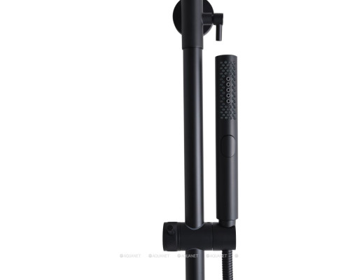 Душевая стойка Allen Brau Fantasy 5.11001-31 черный матовый