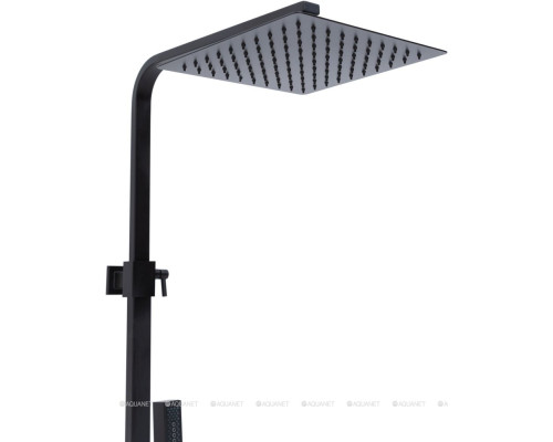 Душевая стойка Allen Brau Infinity 5.21029-31 черный матовый