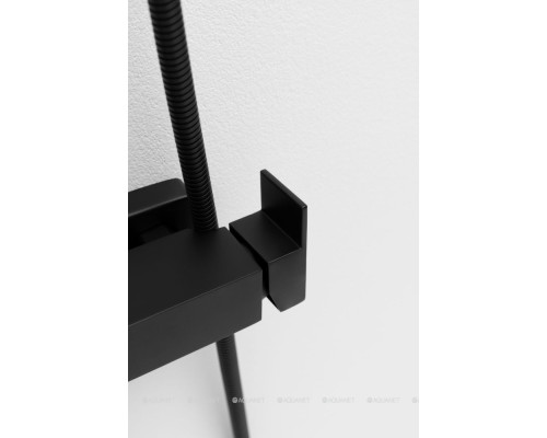 Душевая стойка Allen Brau Infinity 5.21029-31 черный матовый