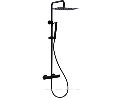 Душевая стойка Allen Brau Infinity 5.21032-31 черный матовый