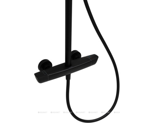 Душевая стойка Allen Brau Infinity 5.21032-31 черный матовый