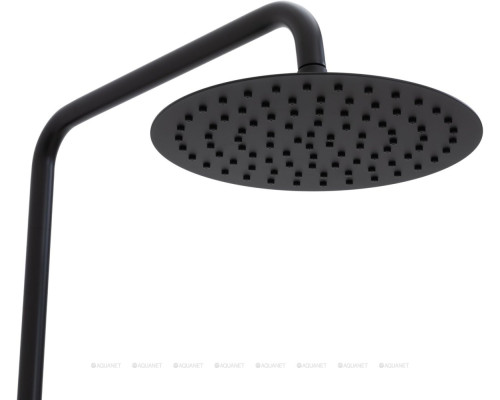 Душевая стойка Allen Brau Priority 5.31031-31 черный матовый