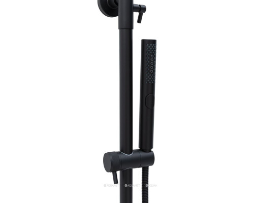 Душевая стойка Allen Brau Priority 5.31A10-31 черный матовый