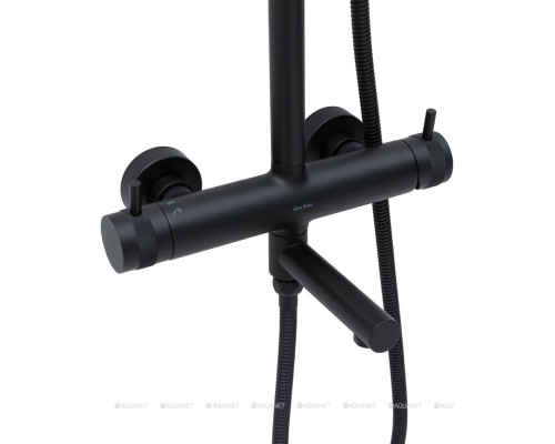 Душевая стойка Allen Brau Priority 5.31A10-31 черный матовый