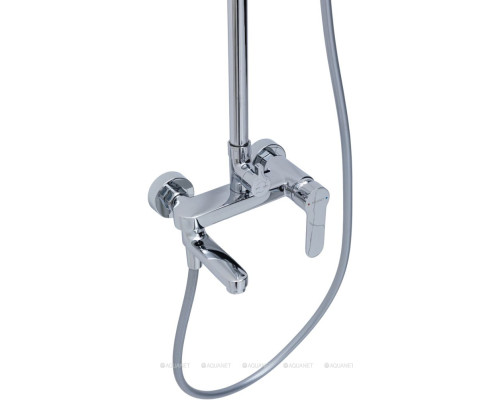 Душевая стойка Aquanet Passion R3
