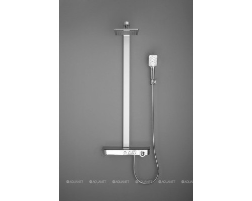 Душевая стойка Aquanet SF2060CS-S