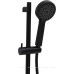 Душевой гарнитур Allen Brau Eclipse 5.E1008-31 черный матовый