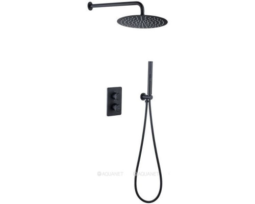 Душевой комплект Allen Brau Priority 5.31013-31 (с внутренней частью, 2 выхода) черный матовый