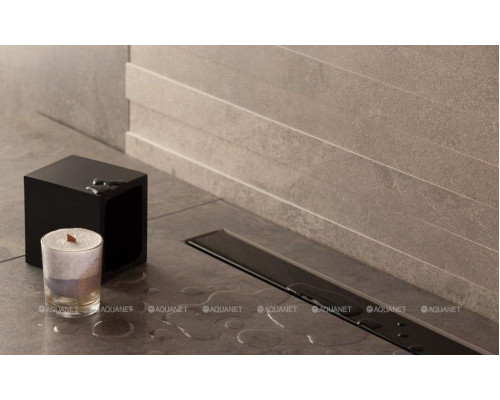 Душевой лоток Pestan Confluo Frameless Line Black Glass 13701201, 300мм