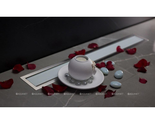 Душевой лоток Pestan Confluo Premium White Glass Line 13000283, 650мм