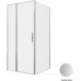 Душевой уголок Allen Brau Priority 100x100 3.31029.BA + 3.31047.BA серебро браш