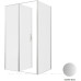 Душевой уголок Allen Brau Priority 120x90 3.31008.BA + 3.31017.BA серебро браш