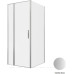 Душевой уголок Allen Brau Priority 90x100 3.31026.BA + 3.31047.BA серебро браш