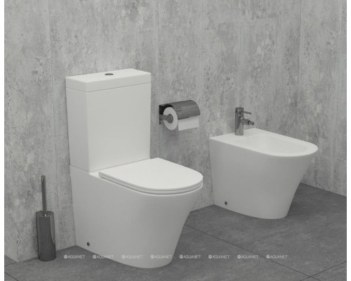 Биде напольное Jacob Delafon Rodin+ EBJ0002-00