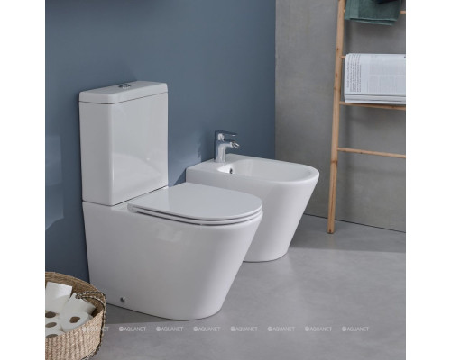 Биде напольное Jacob Delafon Rodin+ EBJ0002-00