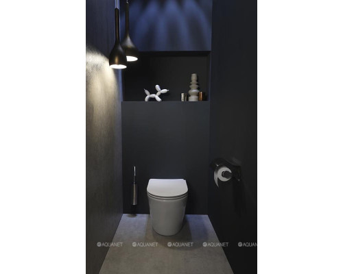 Унитаз приставной Jacob Delafon Rodin+ EDAA102-00