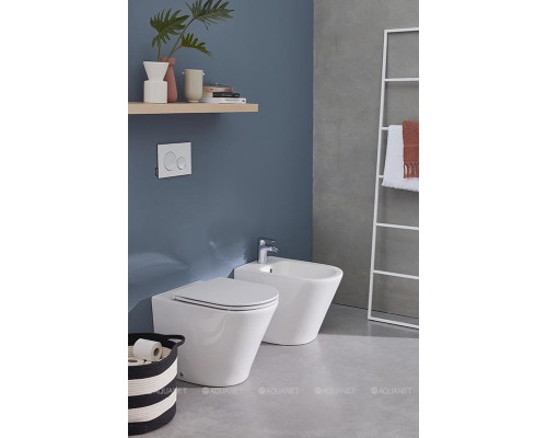 Унитаз приставной Jacob Delafon Rodin+ EDAA102-00