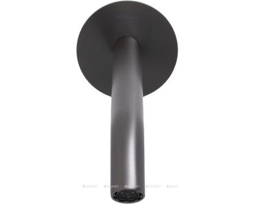 Излив Allen Brau Priority 5.31B18-MG графит браш