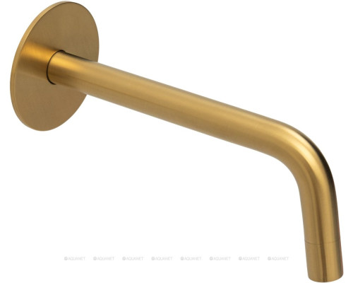 Излив Allen Brau Priority 5.31С18-GB золото браш