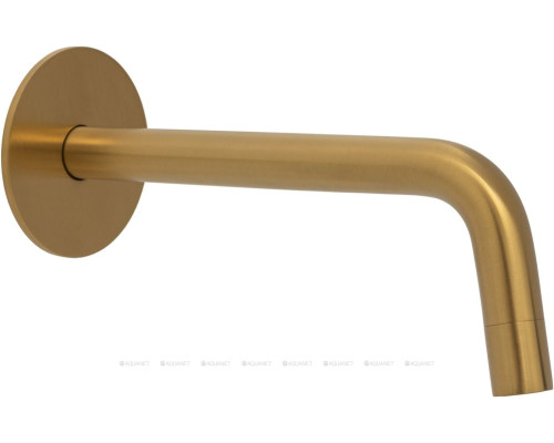 Излив Allen Brau Priority 5.31С18-GB золото браш