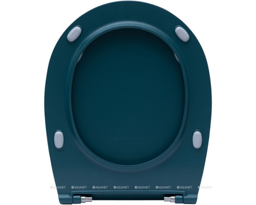 Крышка-сиденье для унитаза Allen Brau Fantasy Soft-Close 4.11005.PT петроль