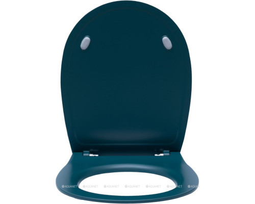 Крышка-сиденье для унитаза Allen Brau Fantasy Soft-Close 4.11005.PT петроль