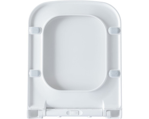 Крышка-сиденье для унитаза Allen Brau Infinity 4.21013.20 белый глянец