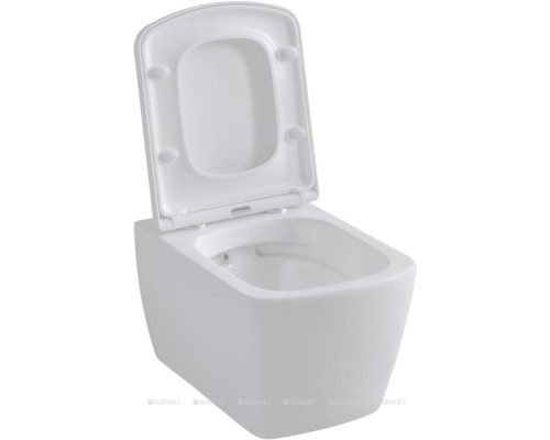 Крышка-сиденье для унитаза Allen Brau Liberty 4.33006.20 белый глянец