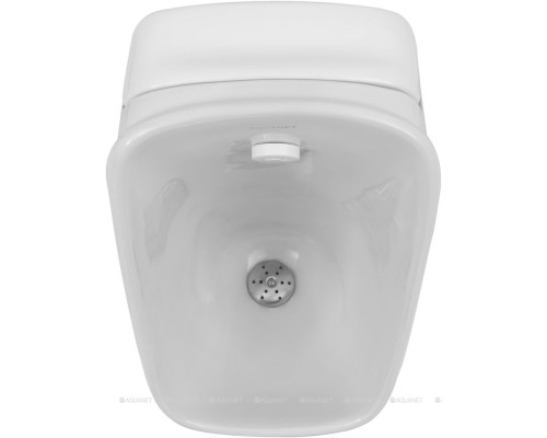 Писсуар Aquanet Cetus белый