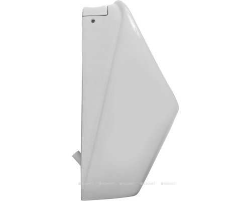 Писсуар Aquanet Cetus белый