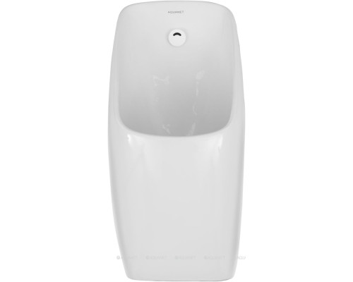 Писсуар Aquanet Cetus белый