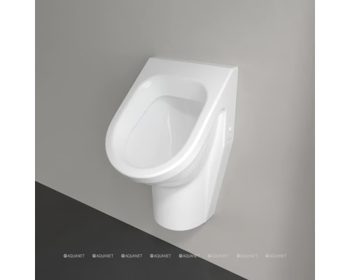 Писсуар Villeroy & Boch Architectura 55740001