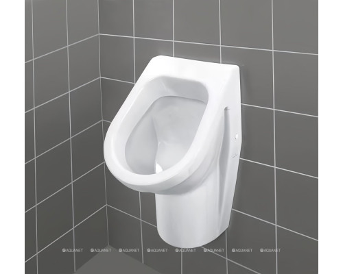 Писсуар Villeroy & Boch Architectura 55740001