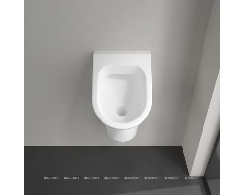 Писсуар Villeroy & Boch Architectura 55740001