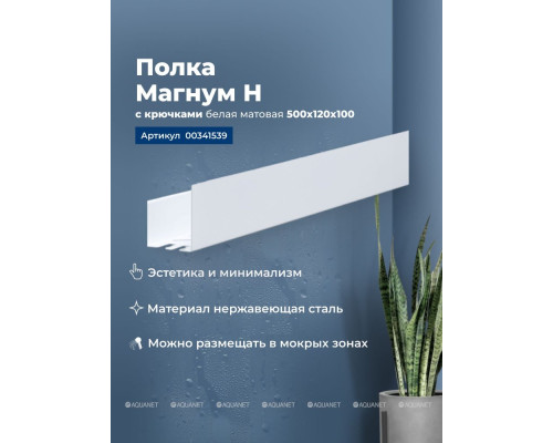 Полка Aquanet Магнум Н 50x12 белая матовая, с крючками