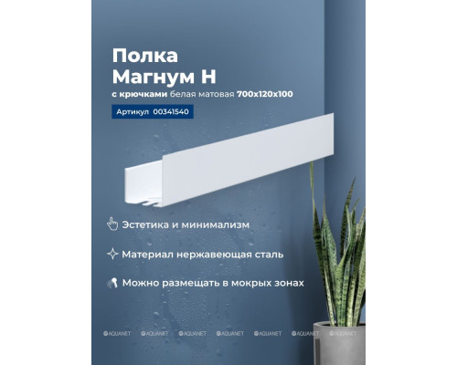 Полка Aquanet Магнум Н 70x12 белая матовая, с крючками