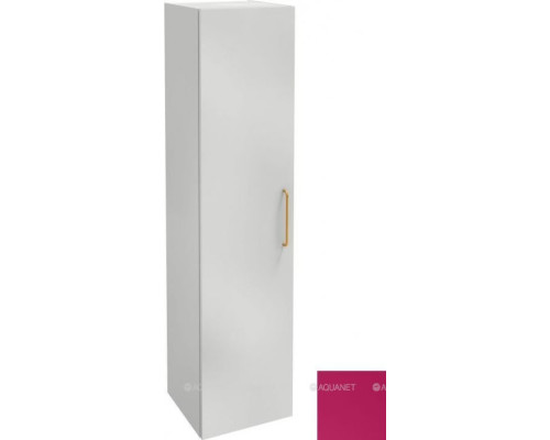 Шкаф-пенал Jacob Delafon Odeon Rive 40 EB2570G-R8-S16