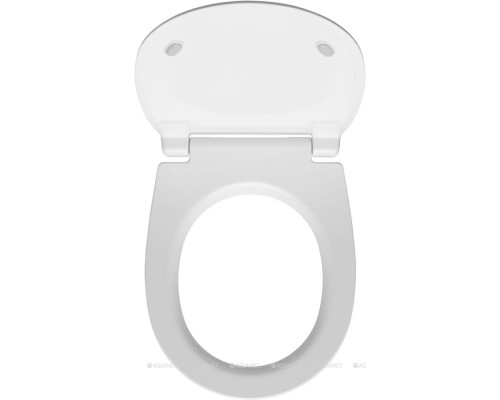 Сиденье для унитаза Allen Brau Fantasy 4.11005.21 белый матовый
