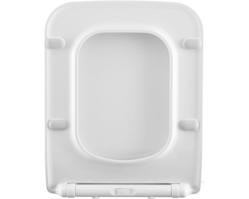 Сиденье для унитаза Allen Brau Liberty 4.33008.21 белый матовый