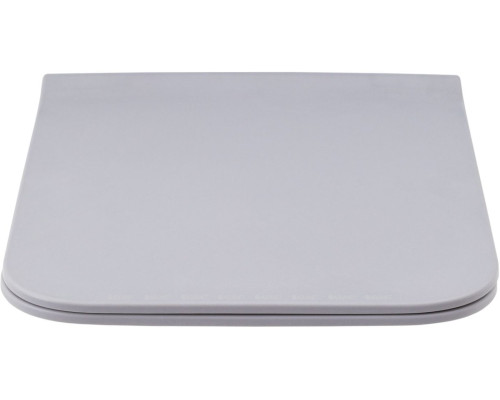 Сиденье для унитаза Allen Brau Liberty 4.33008.AN антрацит